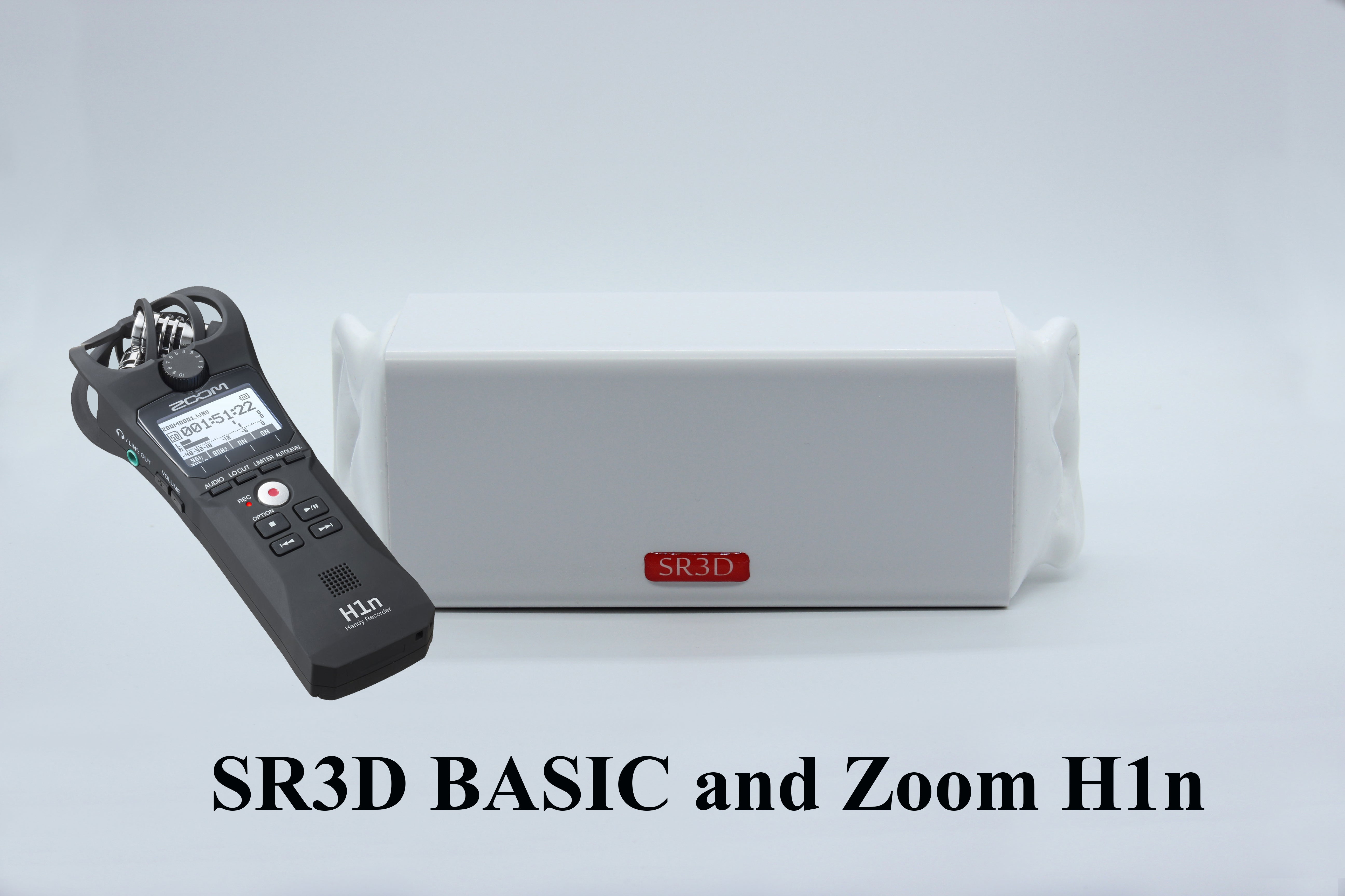 配信機器・PA機器・レコーディング機器 SR3D BASIC BINAURAL TUBE SR3D バイノーラルマイク ASMRマイク ダミーヘッドマイク コンデンサー